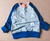 Unicorns Pullover