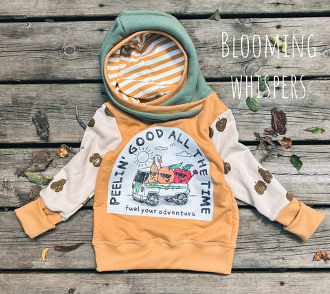 3-6 year Fruit Salad Upcycle Hoodie