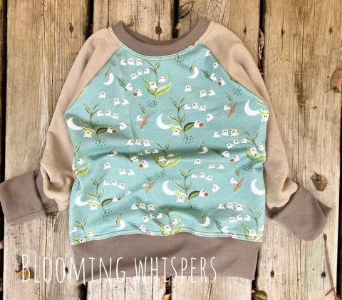 (Multiple sizes) Valley of the Ghosts Pullover